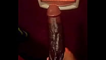 sex только бибиси porn