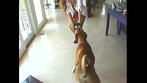 sex калибр пожалуйста 11 крайне редко для коллекционеров clip1 porn