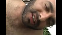 sex часть 3 с большими пушистыми и ручными медведями porn