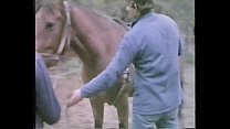 sex la perdizione aka животные марины 1986 porn