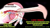 sex анатомия транссексуалов porn