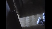 sex поклоняясь его большому стержню porn