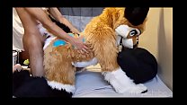sex freyashibe развлечение раком porn