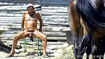 sex среди моих лошадей porn