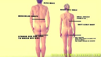 sex анатомия шмеля какойто сисситренер porn