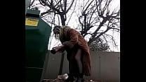 sex full dragon dildo dumpster dumb dawniev ass to mouth porn