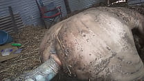 sex грязный фермер porn