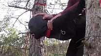 sex модельсводная сестра лауры на каблуках связана в лесу в маске с капюшоном и с кляпом во рту безжалостно трахнута porn