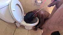 sex デジ娼婦は犬のようにトイレに歩いて顔を怒らせてチンポをしゃぶる porn