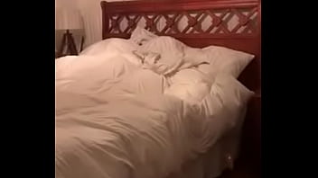 sex ガールフレンドアナルディルド2 porn