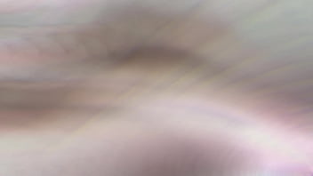 sex красивую и богатую попку проникнули porn