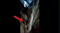 sex археологи очень поражены нашедшие неопровержимое доказательство потопла ноева ковчега porn