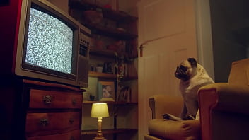 sex benefit monkey фэнтези и эмили пинк играют нанося масло на свои прекрасные тела porn