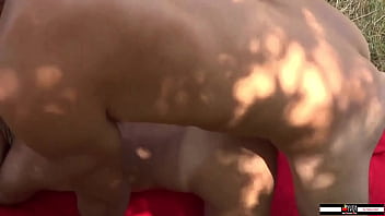 sex дикая milf получает жесткий трах от bull porn