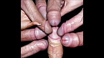sex мои любимые члены 1 porn